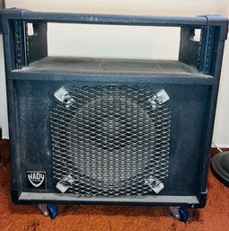 R5 Vintage Nady Systems Bass/Reverb Speaker Cabinet