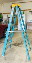 RM0 6ft Werner Ladder