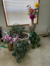 Potted Real And Faux Plants
