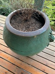 R0 Large Outdoor Ceramic Planter Pot (lot 1 Of 2) With Plant