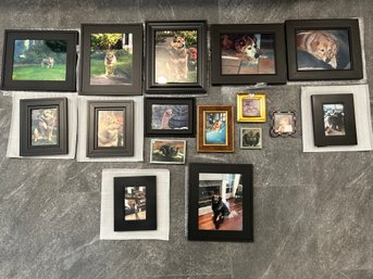 R5 Lot Of Framed Photos Of Owners Dogs In Various Frames