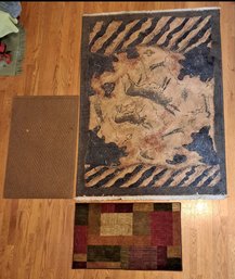 R5 Area Rug And Entry Way Rug