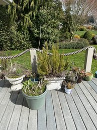 All Potted Plants Around House, Gardening Tools, Water Hoses