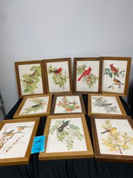 Framed Bird Images