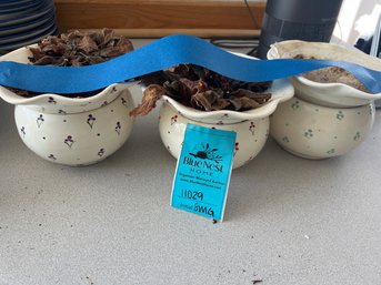 3 African Violet Pots