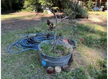 R00 Galvanized Tub With Maple, Little Pots, Garden Hoses