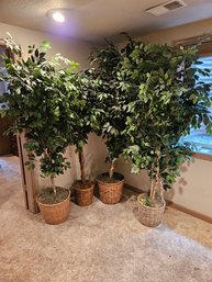 4 Tall Trees With Decorative Baskets