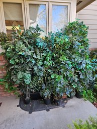 Lot Of Mid Sized Faux Trees