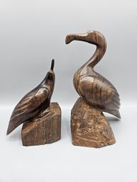 Ironwood Quail And Pelican