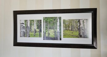 Framed And Mounted Professional Photos