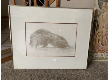 Lion Drinking Water Print