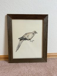 Mourning Dove Original Watercolor Art By Marc Collins