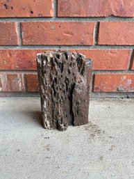 6in Piece Of Petrified Wood
