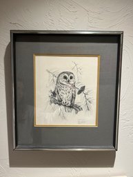 Vintage Owl Art Print Signed D. Whitlatch Saw-Whet Owl Dolly Sods, W. Va 1972