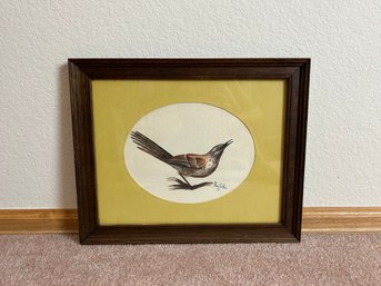 Brown Thrasher Original Watercolor Art By Marc Collins