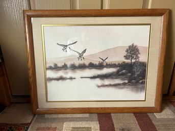F. Massa Framed Canadian Geese Landing On Lake Framed Print