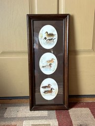 3 Small Duck / Waterfowl Art Prints In One Frame