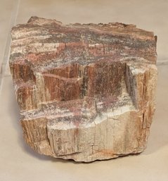 Gorgeous Piece Of Petrified Wood.