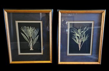 Matching Framed Plant Art Decor From Art Source International