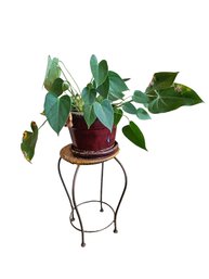 Plant Stand With Red Pot Plant