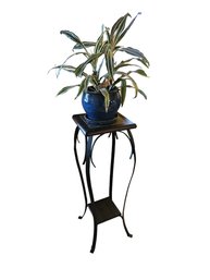 Plant Stand With Plant In Blue Pot