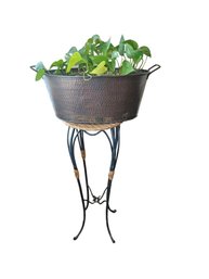 Live Plant In Decorative Bucket On Stand