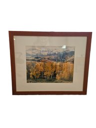 Wooden Framed Aspen Photo