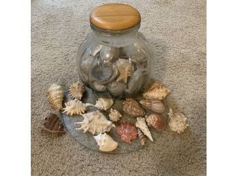 Jar Of Seashells