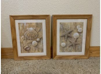 Framed Seashell Lithos