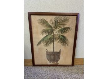 Potted Palm Picture