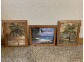 3 Framed Palm Tree Prints