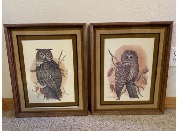 Vintage Framed Owl Lithographs