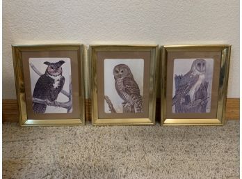 3 Framed Owl Prints