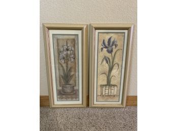 Framed Flower Prints