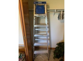 Werner 6ft Ladder