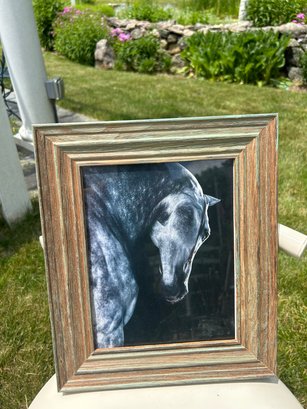 Rustic Frame With Horse