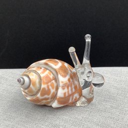 Small Glass Snail In Shell