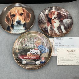 Numbered Collector Plates, Danbury Mint Beagles 'why Not', Puppy Love By Zolan, Eyes Of Love