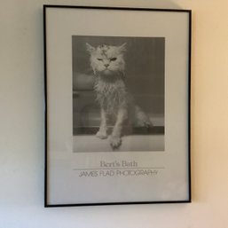 Framed Cat Poster, Bert's Bath, Photography By James Flad