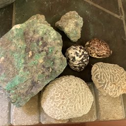 2 Large Brain Coral, Rock With Malachite And Shells