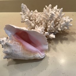 Large Coral And Conch Shell