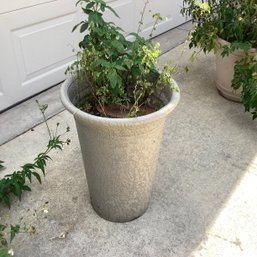 3 Plant Pots, Tall Planter, Resin Material. Desert Rose Plant And One Unknown Plant In Pot