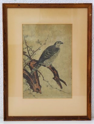 Vintage Bird In Nature Print With Plain Pine Frame