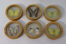 Vintage Bamboo And Glass Butterfly Coasters With Bamboo Caddy