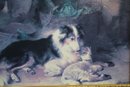 A Pair Of Britts Prints Dog & Cat Themed Decorative Prints In Classic Frames
