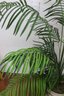 Artificial Areca Bamboo Palm Plant In Large Round Planter