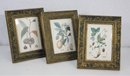 Group Of Three Martin-Aborn Frames With Three Botanical Prints