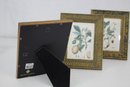 Group Of Three Martin-Aborn Frames With Three Botanical Prints