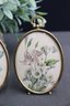 Two Vintage Botanic Ovals In Footed Brass Finish Frames