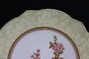 Group Of 9 Vintage Royal Worcester Hand Painted Floral Dessert Plates  Marked On Bottom RaNo.139396 W2344